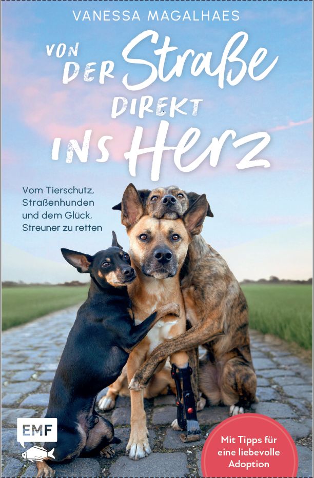 Lancamento do Livro Strays